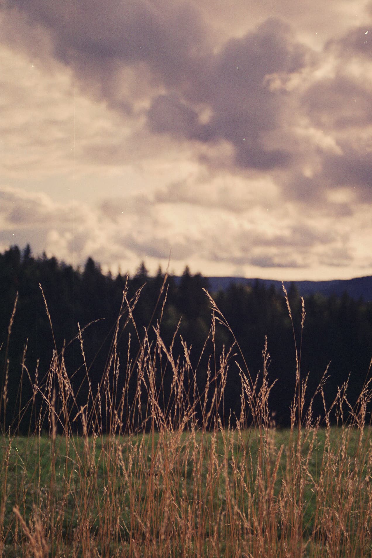 Grain_de_paysage_content_8ece2bcd-7ef4-4335-9043-42b4f33e1da1.jpg