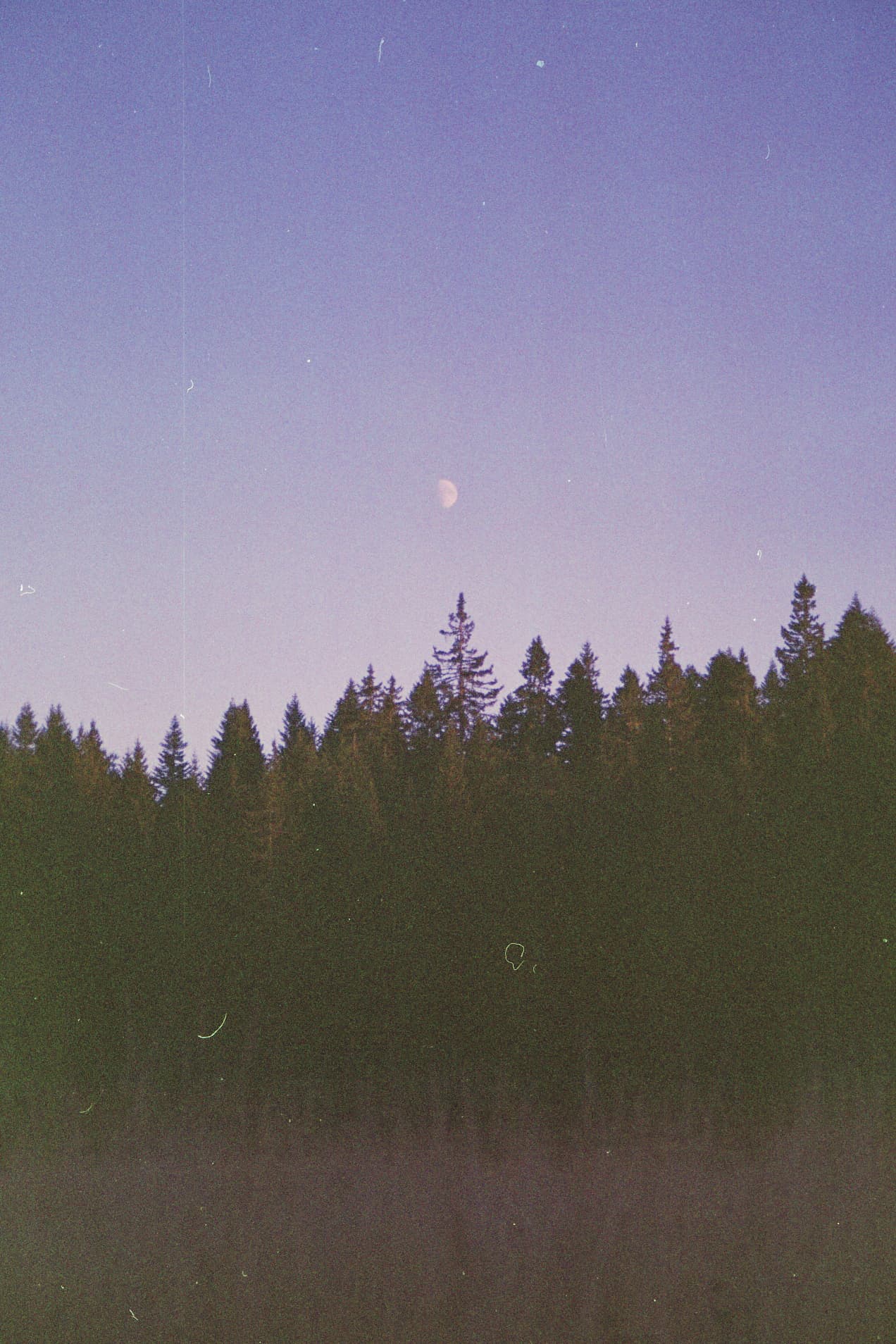 Grain_de_paysage_content_758112ba-4a6c-4dbb-aef3-a2708cc1567d.jpg