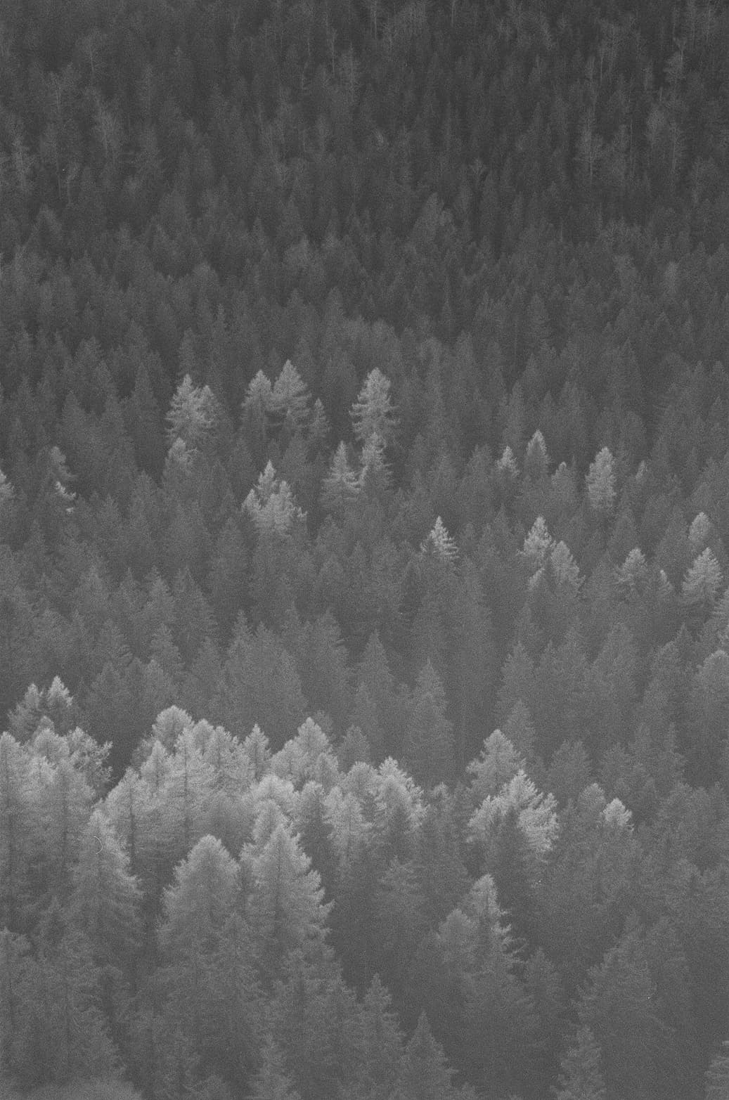 Grain_de_paysage_content_152cee60-ae04-4af9-8325-bcf24e6a9591.jpg